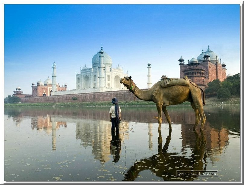 yamuna_river-agra.jpg