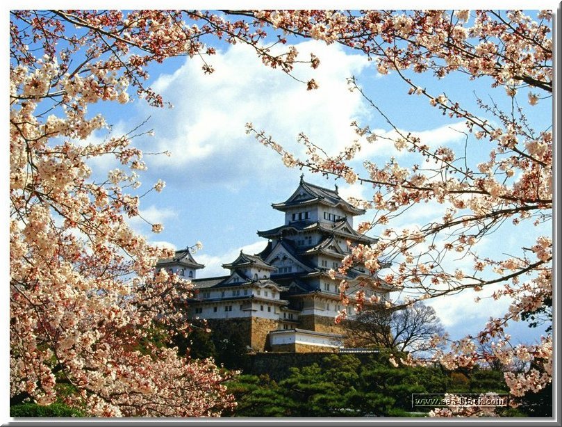 himeji-jo_castle.jpg