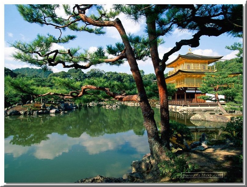 kinkaku-ji_temple.jpg