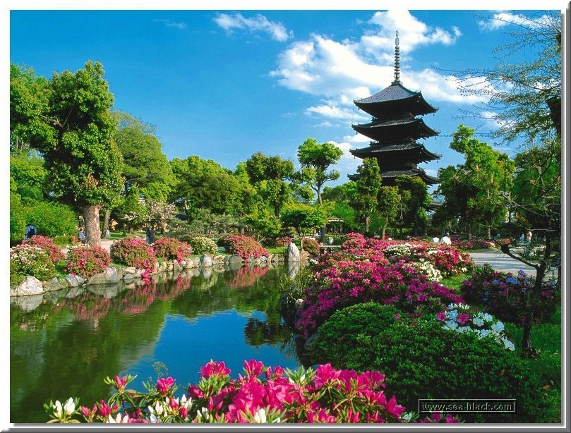 toji_temple_kyoto.jpg