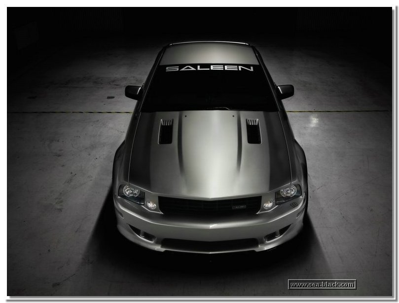 saleen-s302-extreme-front.jpg