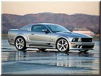 saleen-s302-extreme.jpg