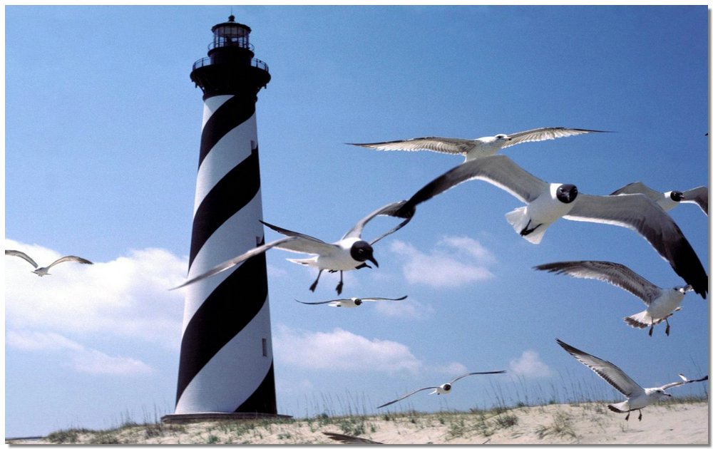 s_Lighthouse_north_carolina.jpg