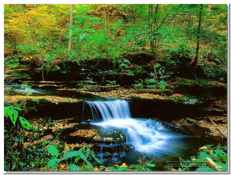 ricketts_glen-pennsylvania.jpg