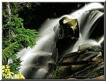 paradise_river_waterfall-washington.jpg