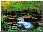 ricketts_glen-pennsylvania.jpg